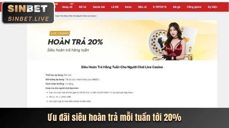 Chương trình VIP ibet888